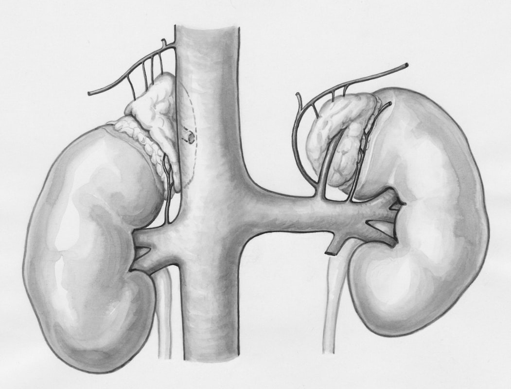 Physical activity for urological health